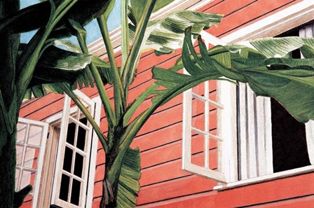 Tropical Breeze by John Canning art print