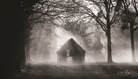 The Shed by Martin Podt art print