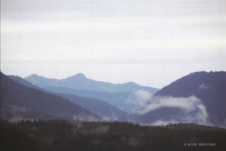 Blue Hills &amp; Fog by Kari Brooks art print