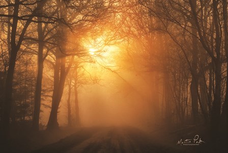 Misty Sunrise by Martin Podt art print