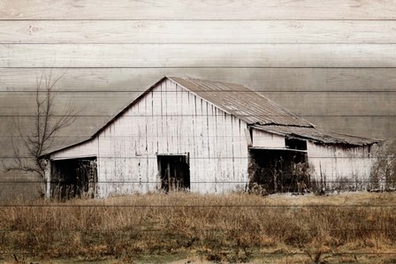 White Barn on Wood by Andy Amos art print