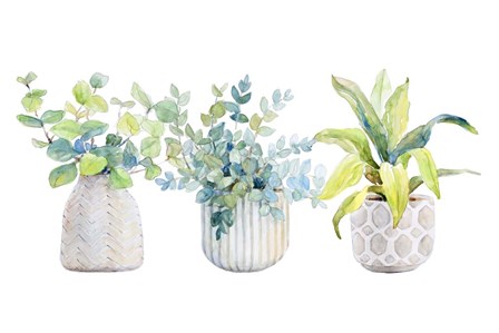 Decorative Plant Arrangement I by Lanie Loreth art print