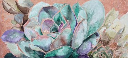 Desert Flower on Terra Cotta by Patricia Pinto art print