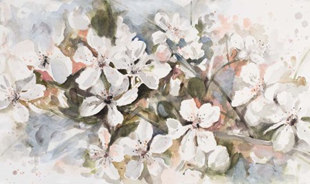 Peach Blossom by Patricia Pinto art print