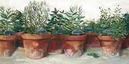 Pots of Herbs I White by Carol Rowan art print