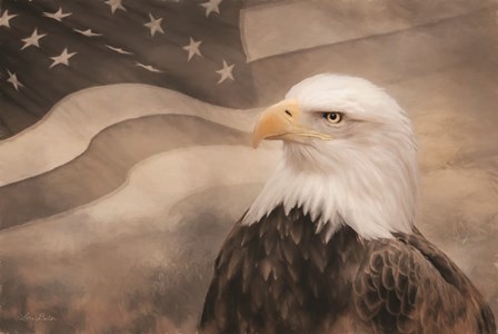 US Symbols by Lori Deiter art print