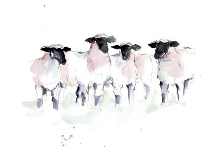 Minimalist Watercolor Sheep II by Ethan Harper art print