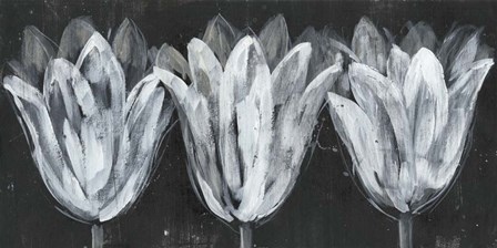 White Trio on Black I by Jennifer Goldberger art print