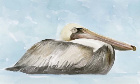 Soft Brown Pelican I by Stellar Design Studio art print