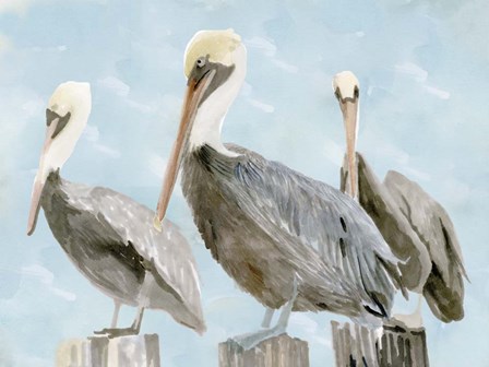 Soft Brown Pelican III by Stellar Design Studio art print