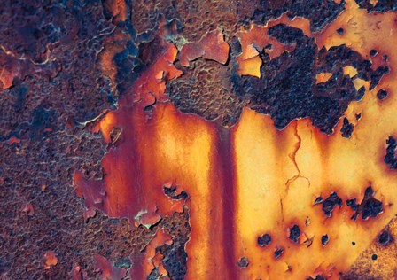Details Of Rust And Paint On Metal 1 by Zandria Muench Beraldo / Danita Delimont art print