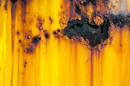 Details Of Rust And Paint On Metal 4 by Zandria Muench Beraldo / Danita Delimont art print