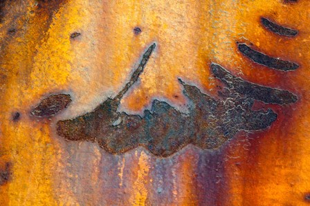 Details Of Rust And Paint On Metal 6 by Zandria Muench Beraldo / Danita Delimont art print