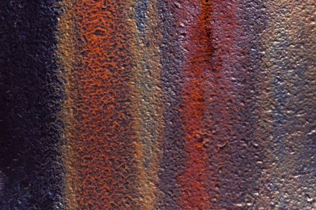 Details Of Rust And Paint On Metal 11 by Zandria Muench Beraldo / Danita Delimont art print