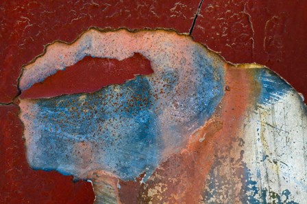Details Of Rust And Paint On Metal 15 by Zandria Muench Beraldo / Danita Delimont art print