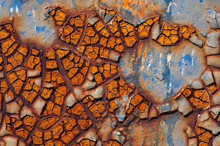 Details Of Rust And Paint On Metal 25 by Zandria Muench Beraldo / Danita Delimont art print