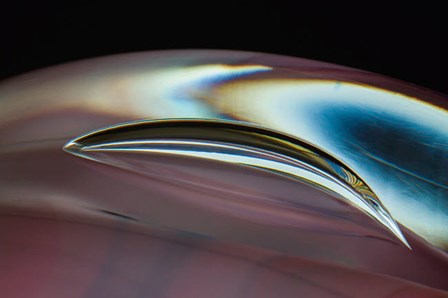 Frozen Bubbles In Glass 1 by Zandria Muench Beraldo / Danita Delimont art print