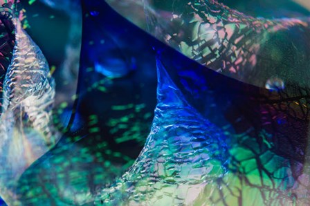 Macro Of Colorful Glass 3 by Zandria Muench Beraldo / Danita Delimont art print