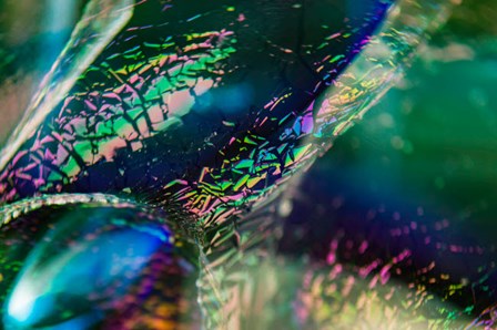Macro Of Colorful Glass 4 by Zandria Muench Beraldo / Danita Delimont art print
