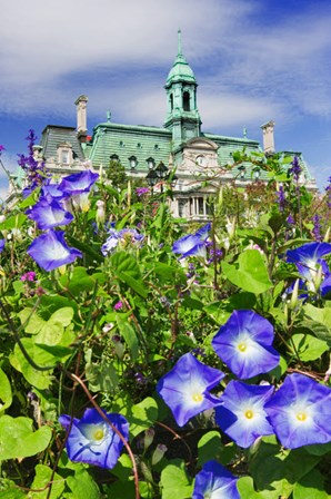 USA, Montreal View Of City Hall Building Behind Flowers by Jaynes Gallery / Danita Delimont art print