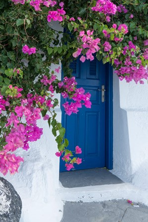 Greece, Santorini A Picturesque Blue Door Is Surrounded By Pink Bougainvillea In Firostefani by Brenda Tharp / DanitaDelimont art print