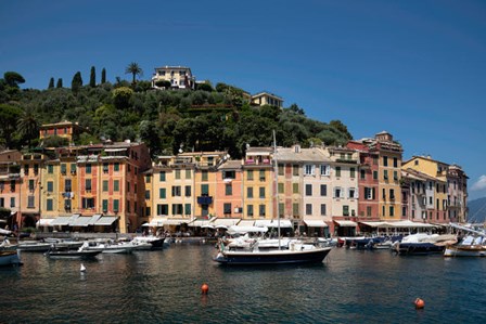 Italy, Province Of Genoa, Portofino, Fishing Village On The Ligurian Sea, Pastel Buildings Overlooking Harbor by Alan Klehr / Danita Delimont art print