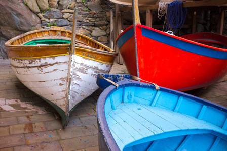 Italy, Riomaggiore Colorful Fishing Boats by Jaynes Gallery / Danita Delimont art print