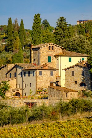 Italy, Florence, Winery, Villa by George Theodore / Danita Delimont art print