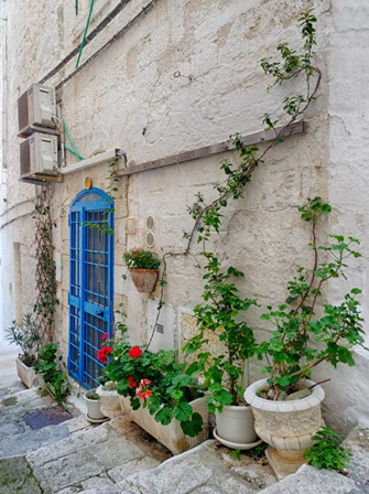 Italy, Puglia, Brindisi, Itria Valley, Ostuni Blue Door And Potted Plants by Julie Eggers / Danita Delimont art print