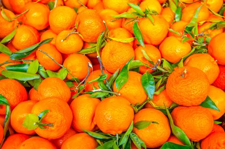 Oranges Displayed In Market In Shepherd&#39;s Bush, Londo by Richard Wright / DanitaDelimont art print