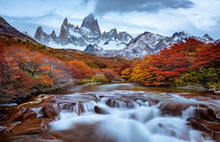 Argentina, Los Glaciares National Park Mt Fitz Roy And Lenga Beech Trees In Fall by Yuri Choufour / DanitaDelimont art print