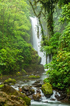 Costa Rica, La Paz Waterfall Garden Rainforest Waterfall And Stream by Jaynes Gallery / Danita Delimont art print