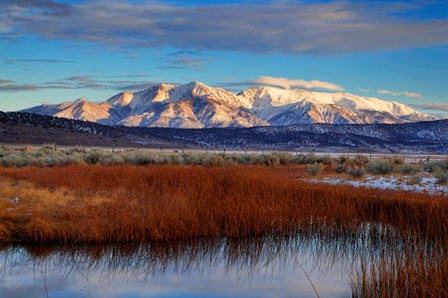California White Mountains And Reeds In Pond by Jaynes Gallery / Danita Delimont art print