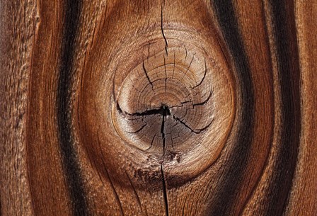 Old Wood Design, California by Zandria Muench Beraldo / Danita Delimont art print