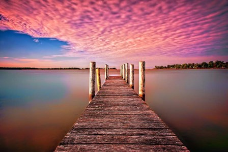 Pink Pier by Tracie Louise art print