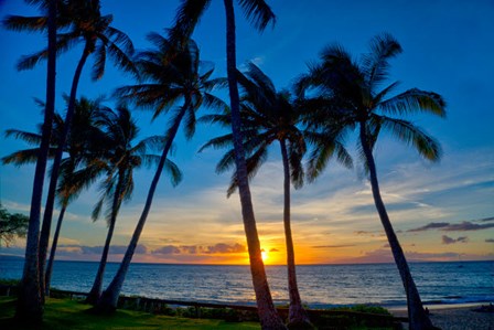 Sunset And Silhouetted Palm Trees, Kihei, Maui, Hawaii by Darrell Gulin / Danita Delimont art print