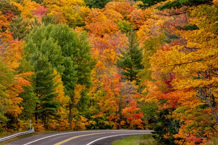 Autumn Color Along Highway 26 Near Houghton, Michigan by Chuck Haney / Danita Delimont art print