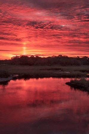 New Jersey, Cape May, Sunrise On Creek by Jaynes Gallery / Danita Delimont art print