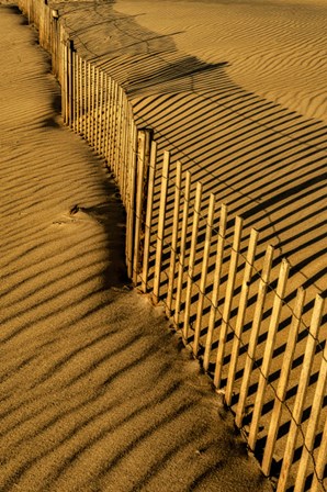 New Jersey, Cape May, Fence Shadow On Shore Sand by Jaynes Gallery / Danita Delimont art print