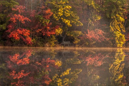 New Jersey, Belleplain State Fores,t Autumn Tree Reflections On Lake by Jaynes Gallery / Danita Delimont art print