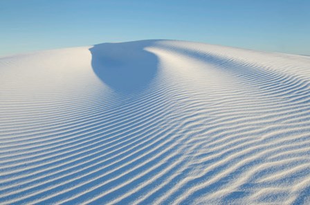 Ripple Patterns In Gypsum Sand Dunes, White Sands National Monument, New Mexico by Alan Majchrowicz / DanitaDelimont art print
