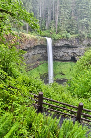 Silver Falls State Park, Oregon South Falls And Trail Leading To It by Darrell Gulin / Danita Delimont art print