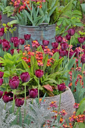 Colorful Planters At Entrance To Chanticleer Garden, Pennsylvania by Darrell Gulin / Danita Delimont art print