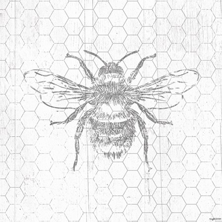 Grey Bee by Kyra Brown art print
