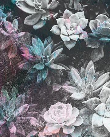 Colored Succulents III by Kyra Brown art print