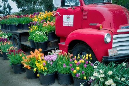 Floral Truck by Dennis Frates art print