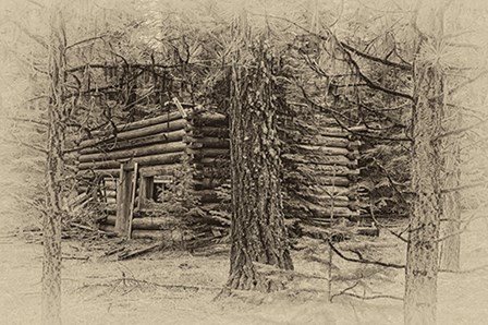 Cabin in the Woods by Larry McFerrin art print