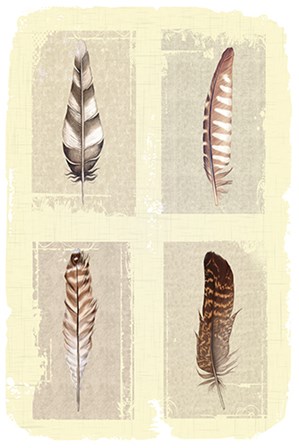 Traditional Figurative Feathers by ND Art &amp; Design art print
