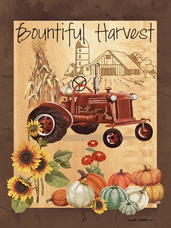 Bountiful Harvest III by Anita Phillips art print