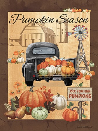 Pumpkin Season III by Anita Phillips art print
